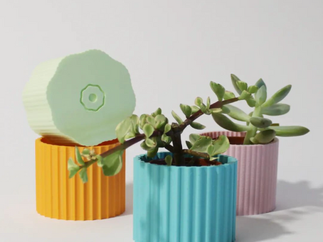 Spring Market in London this March