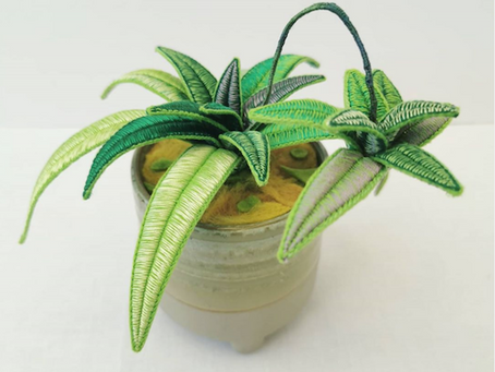 Artist Interview - Jessie Dickinson Design